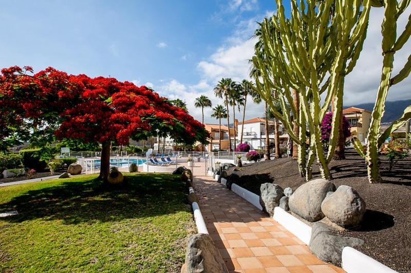 Mango Apartman Costa Adeje  Kültér fotó
